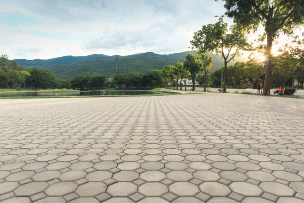 Best Driveway Repair Near Me  in Altamont, KS